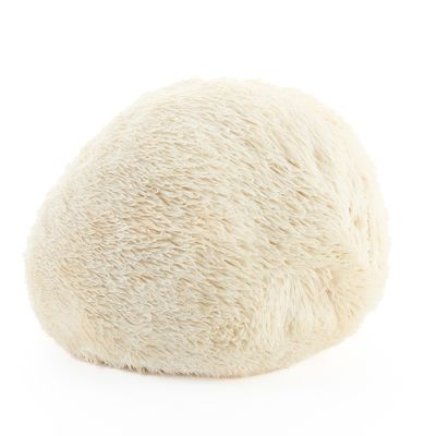 Lion's mane mushroom