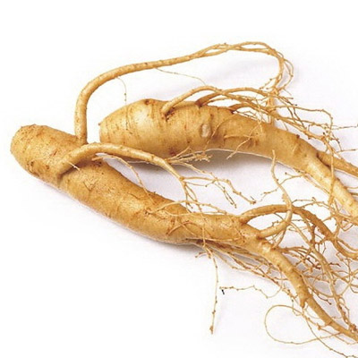 Siberian ginseng