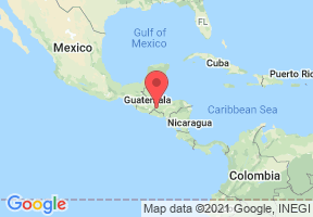 BIO Sencha