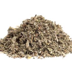Sage (Salvia Officinalis) – Herb