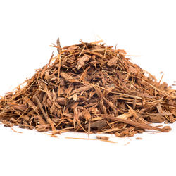 Catuaba Tree Bark – Herb