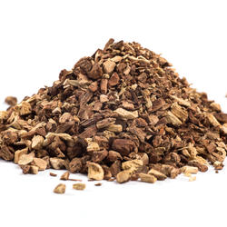Sarsi (Sarsaparilla) – Herb