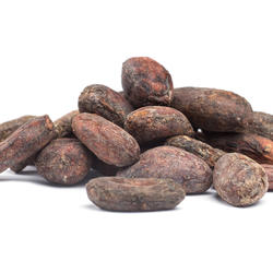 Raw Organic Cocoa Beans Unocade Premium – Sorted