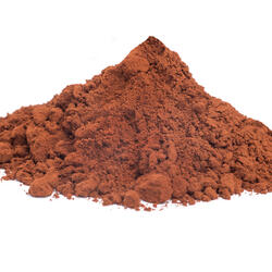 Cocoa Powder Plein Arome 20/22