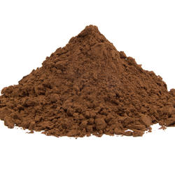 Reishi – Organic Mushroom Powder