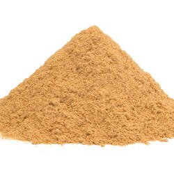 Astragalus – Powder