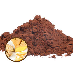 Organic Hot Cocoa 42% – Ginger