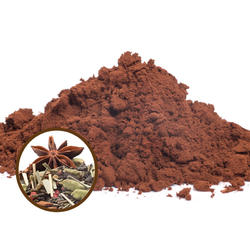 Organic Hot Cocoa 42% – Masala Chai