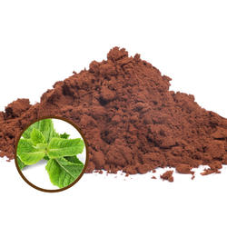 Organic Hot Cocoa 42% – Mint