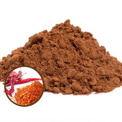 Organic Hot Cocoa 42% – Chili