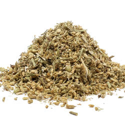 Yarrow Bloom (Achillea Millefolium) – Herb