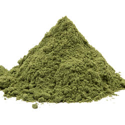Green Wheat – Organic Powder
