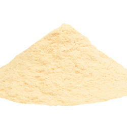 Acerola (Malpighia Emarginata) – Organic Powder
