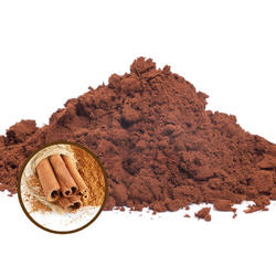 Organic Hot Cocoa 42% – Cinnamon