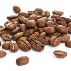 El Salvador SHG Red Bourbon Finca Santa Adelaida Microlot – Roasted Coffee