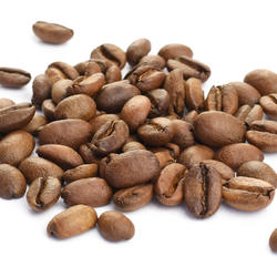 Guatemala Geisha Finca Nuevo Granada – Roasted Coffee