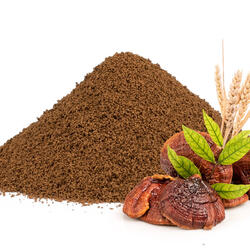 Spelt-Chicory Coffee with Reishi