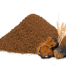 Spelt-Chicory Coffee with Chaga