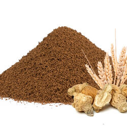 Spelt-Chicory Coffee with Maca