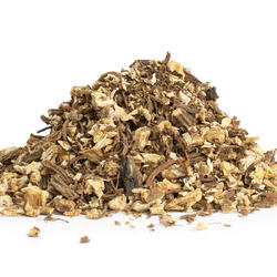 Angelica Root (Archangelica Officinalis) – Herb