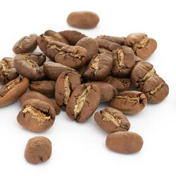 Nicaragua SHB EP Maragogype – Light Roast Coffee