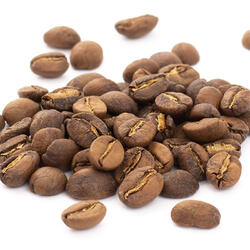 Honduras SHG EP Bio – Light Roast Coffee