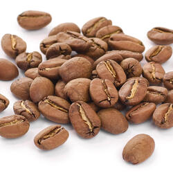 Dominicana Barahona AA – Light Roast Coffee