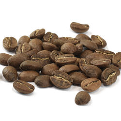 Guatemala Maragogype – Light Roast Coffee