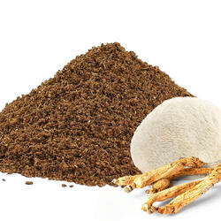 Adaptogenic Decaf Coffee with Lion’s Mane & Ginseng - Only Ground