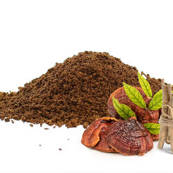 Adaptogenic Coffee with Reishi & Ashwagandha - Only Ground