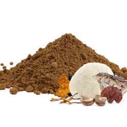 6 Adaptogenic Mushrooms Complex – Powder