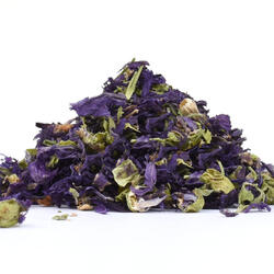 Mallow Bloom (Malva Mauritiana) – Herb