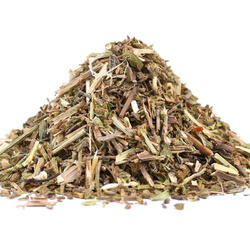 Verbena (Herba Verbenae) – Herb