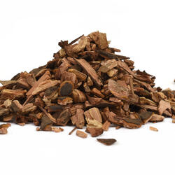 Sarsi (Sarsaparilla) – Herb