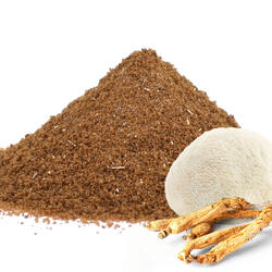 Instant Adaptogenic Coffee with Ginseng & Lion's Mane