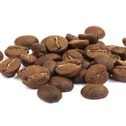 Bolivia AA BIO – Light Roast Coffee