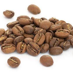 Guatemala SHB El Jaguar – Light Roast Coffee